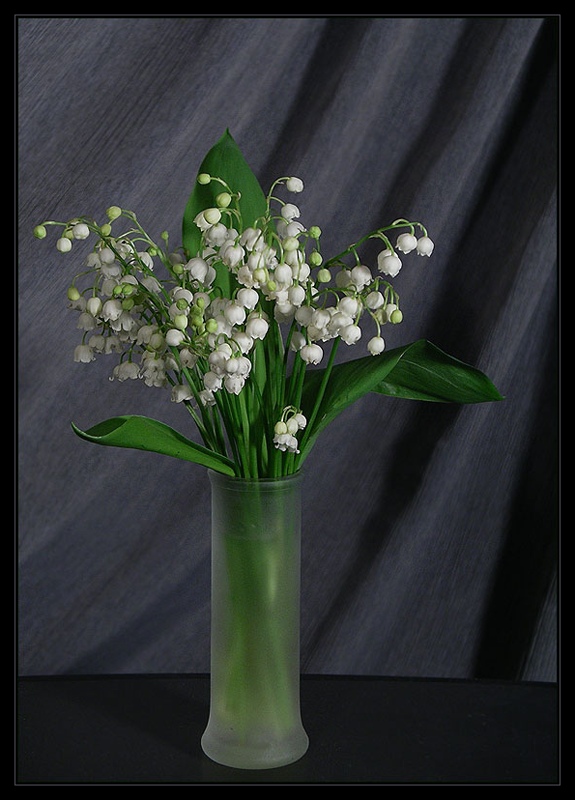 photo "Waiting of spring." tags: nature, flowers