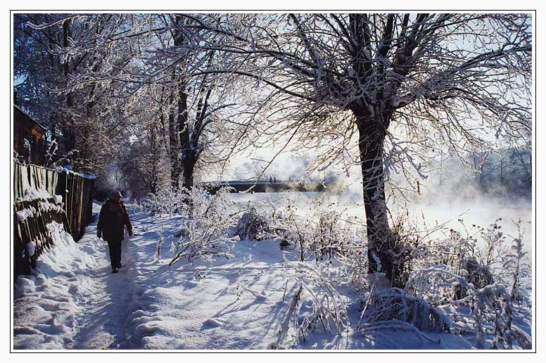 фото "Новогоднее настроение" метки: пейзаж, зима