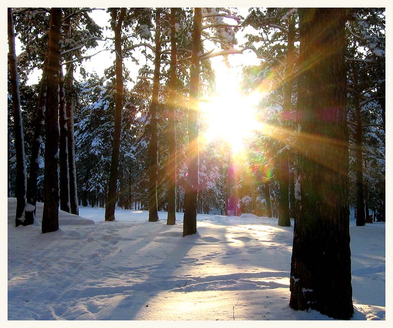 photo "Waldmaerchen" tags: landscape, forest, winter