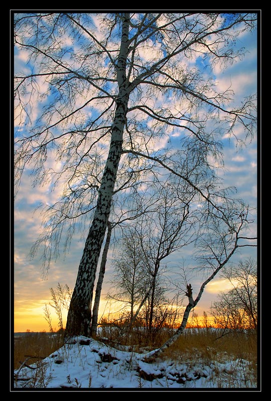 photo "tension" tags: landscape, winter