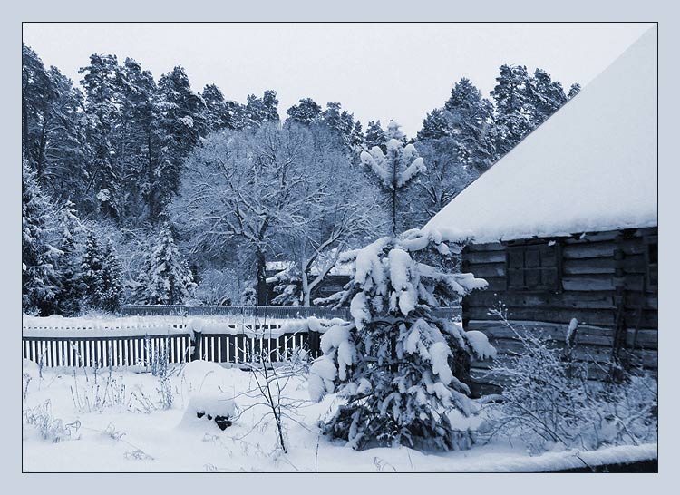 photo "***" tags: landscape, forest, winter