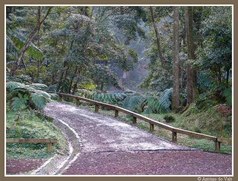 фото "Caldeira Velha" метки: пейзаж, лес