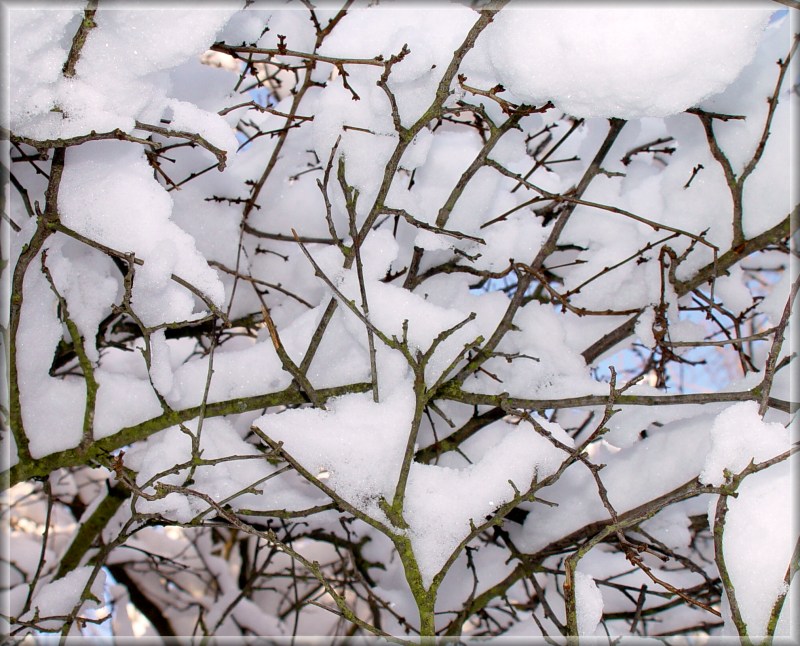 photo "***at the moment there is no perspective ***" tags: landscape, nature, winter