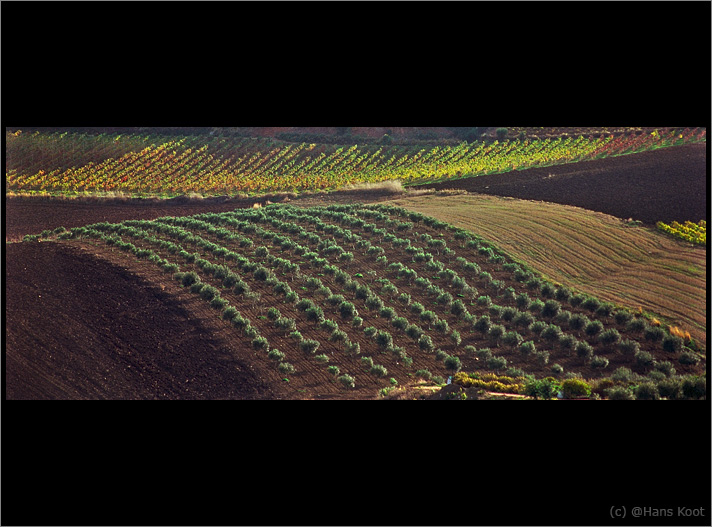 фото "Sicilian Curves" метки: пейзаж, путешествия, 