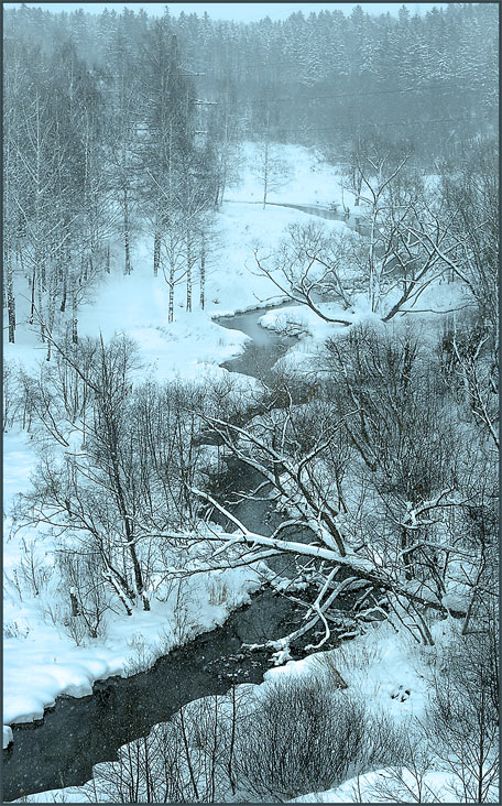 photo "Snow in Moscow suburbs" tags: nature, 