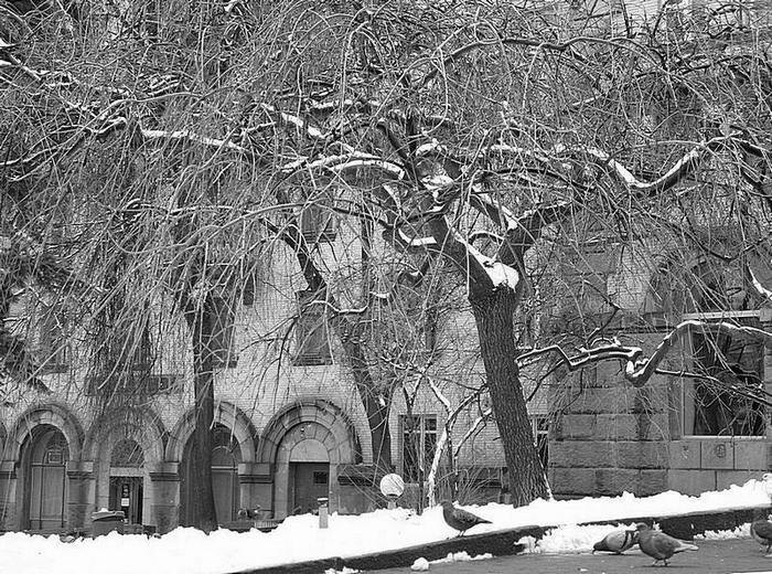 photo "Kiev, first snow" tags: architecture, landscape, 
