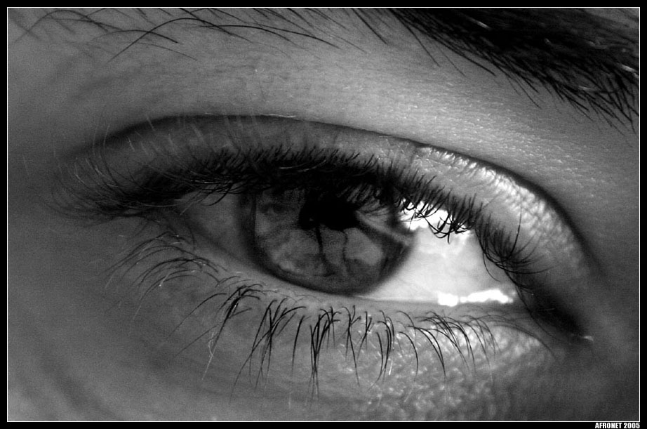 photo "In my eye" tags: black&white, 