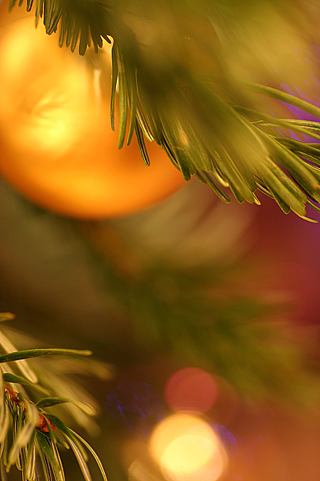 photo "HNY" tags: macro and close-up, still life, 