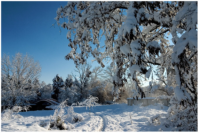 photo "***" tags: landscape, winter