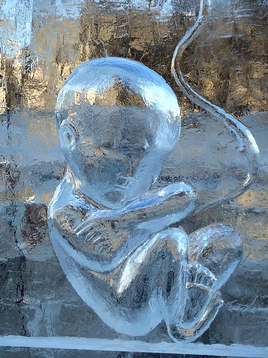 фото "Ледяной ребенок" метки: пейзаж, зима