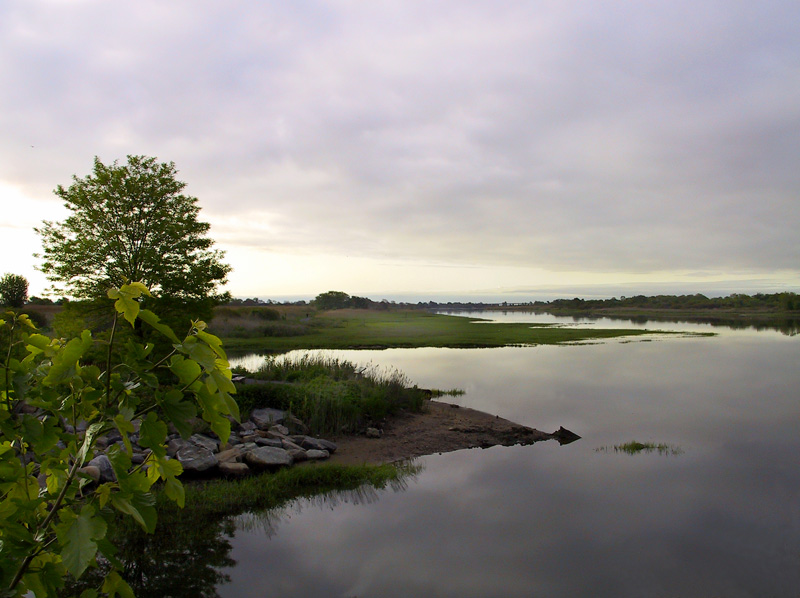 photo "The Morning" tags: landscape, summer