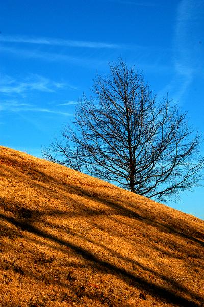 фото "***" метки: пейзаж, 