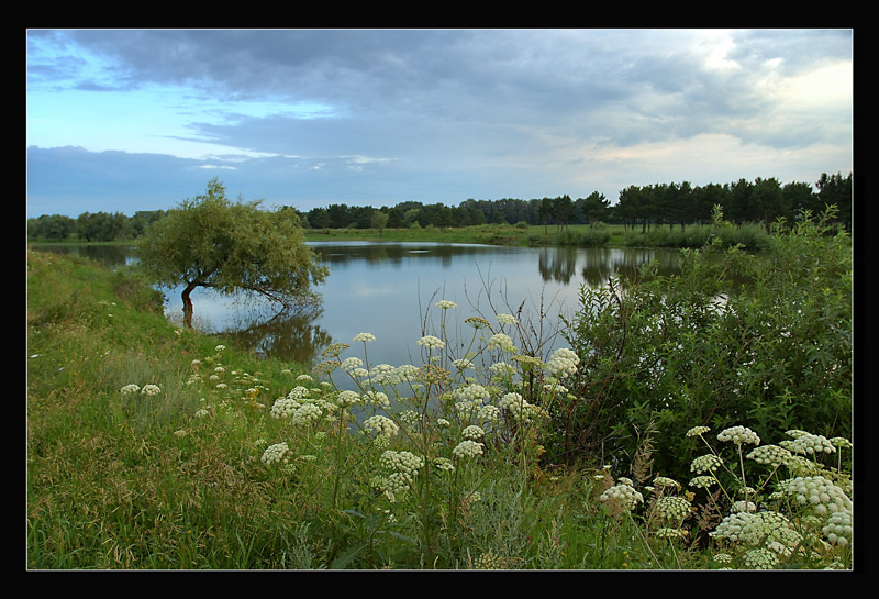 photo "Sacrament Siberian Morning" tags: landscape, summer