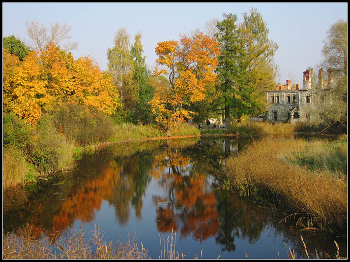 photo "Gold autumn" tags: landscape, autumn, water
