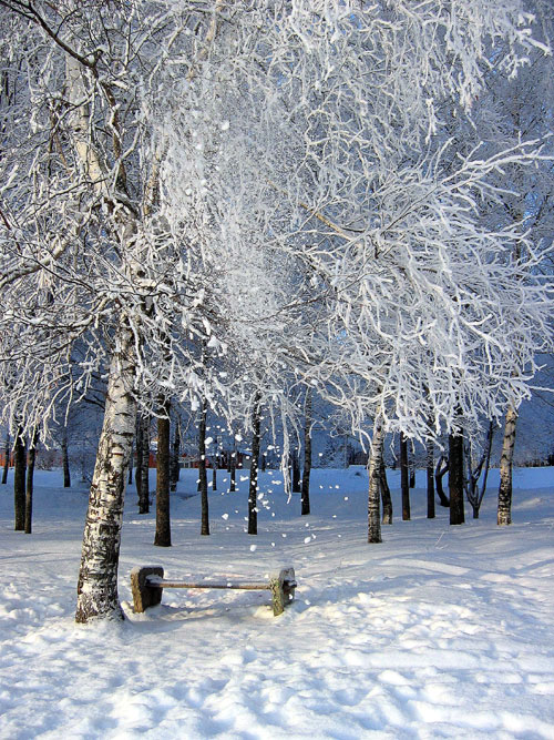 фото "А СНЕГ ИДЁТ..." метки: пейзаж, зима