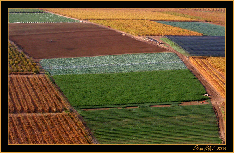photo "Fields mosaic" tags: landscape, misc., 