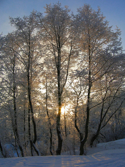 фото "Небесный зимний свет..." метки: пейзаж, закат, зима