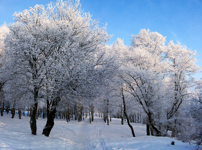 photo "Ski weather!!!" tags: landscape, sport, winter