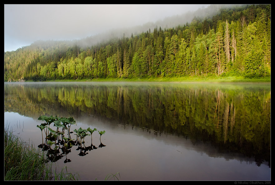 photo "Ural. Chusovaya river / 0153_0091" tags: landscape, fog, forest, river, summer, sunrise, water