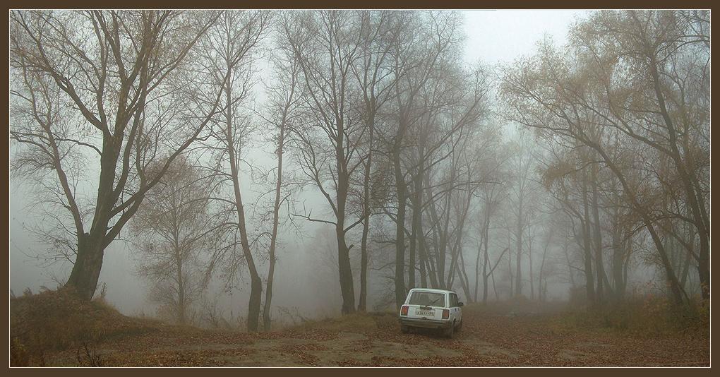 photo "Fog" tags: landscape, autumn