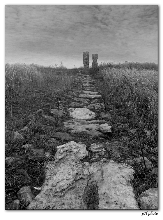 photo "keepers of a barrow" tags: landscape, black&white, 