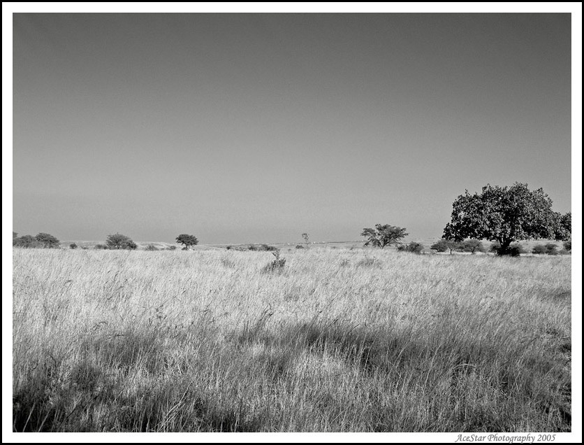 фото "Desert Landscape" метки: пейзаж, осень