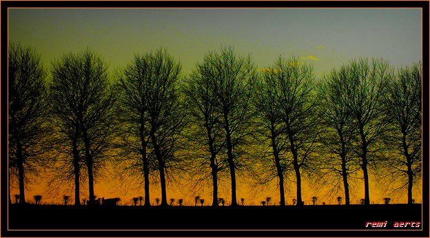 фото "between the trees" метки: пейзаж, закат, зима