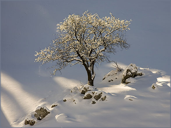 фото "winter scape 2" метки: пейзаж, путешествия, зима