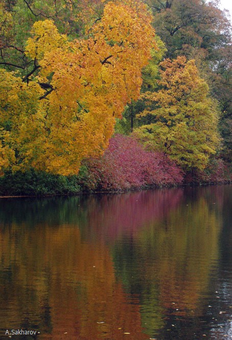 photo "***" tags: landscape, autumn