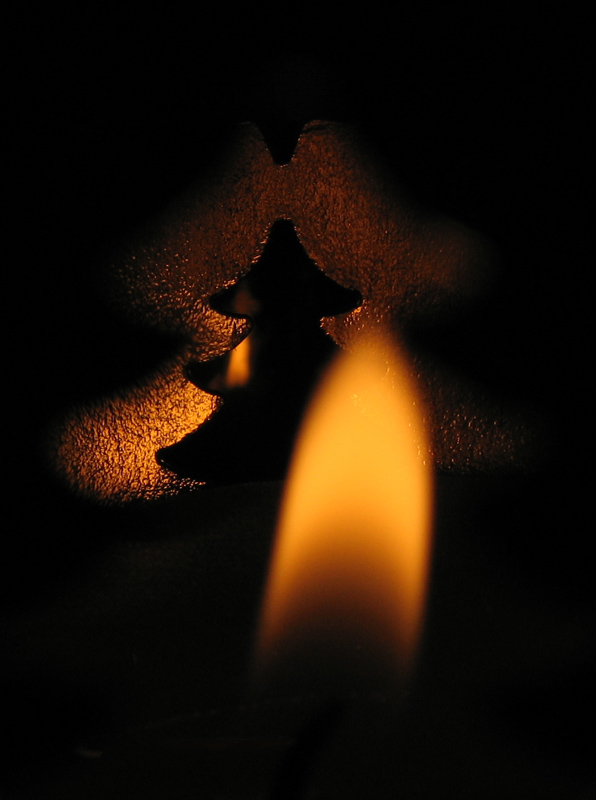 photo "Flame" tags: still life, macro and close-up, 