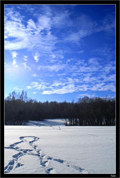 фото "Следов петля..." метки: пейзаж, зима