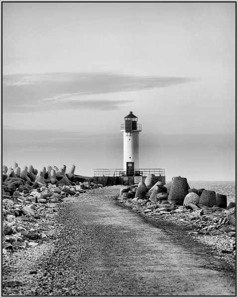 photo "loneliness" tags: landscape, black&white, autumn