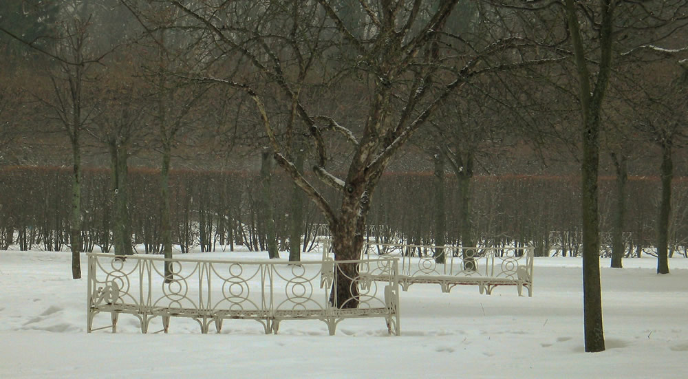 photo "Winter park" tags: landscape, 