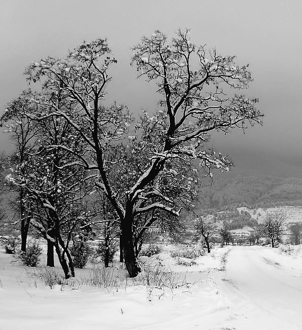 photo ""Тишина"/Silence/" tags: landscape, winter