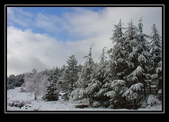 photo "In the snow" tags: landscape, mountains, winter