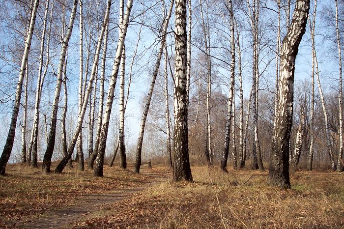 фото "***" метки: пейзаж, осень