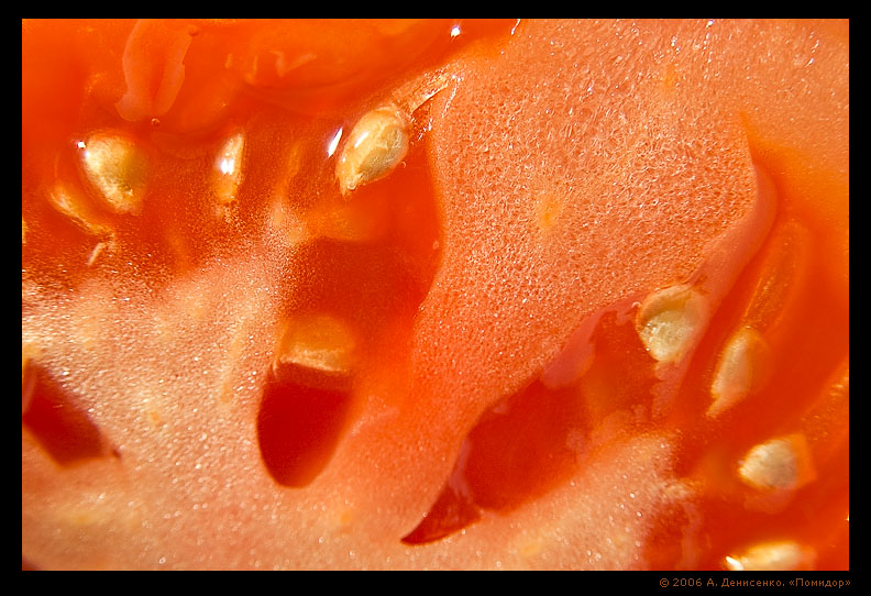 photo "Tomato" tags: macro and close-up, abstract, 