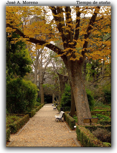 фото "Late of autumn" метки: пейзаж, лес