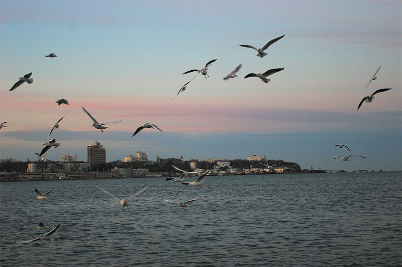 photo "Morning" tags: , 