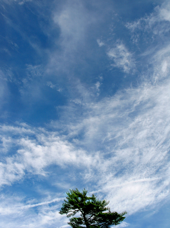 photo "The Sky" tags: landscape, clouds