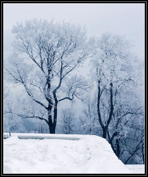 photo "Winter dance" tags: landscape, winter