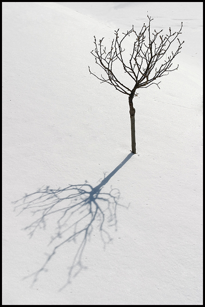 photo "Winter the schedule." tags: landscape, winter