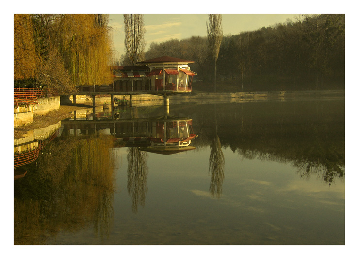photo "when the sun is kissing the weepmg willow" tags: landscape, water