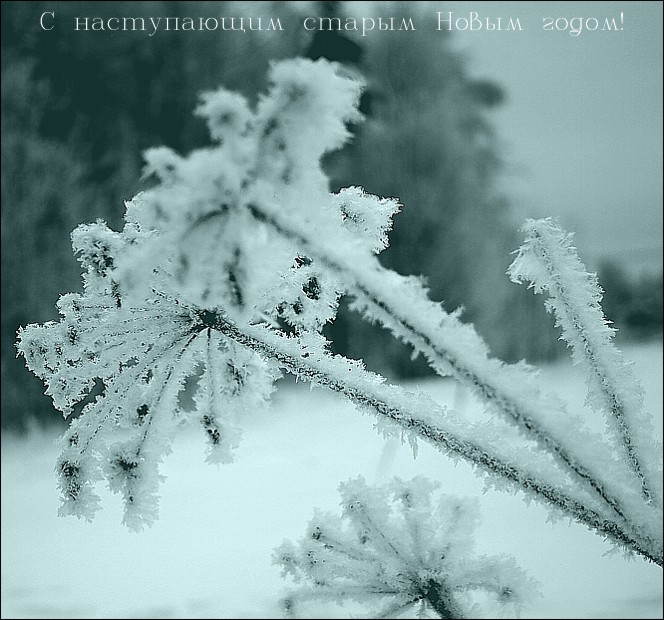 photo "***" tags: landscape, nature, winter