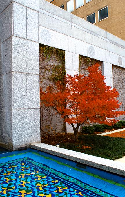 photo "Red by the Pool" tags: landscape, architecture, 