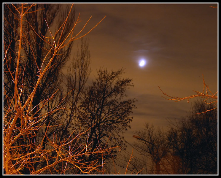 photo "Night etude" tags: landscape, clouds, night