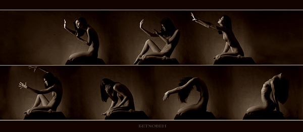 photo "...BEETHOVEN..." tags: nude, montage, 