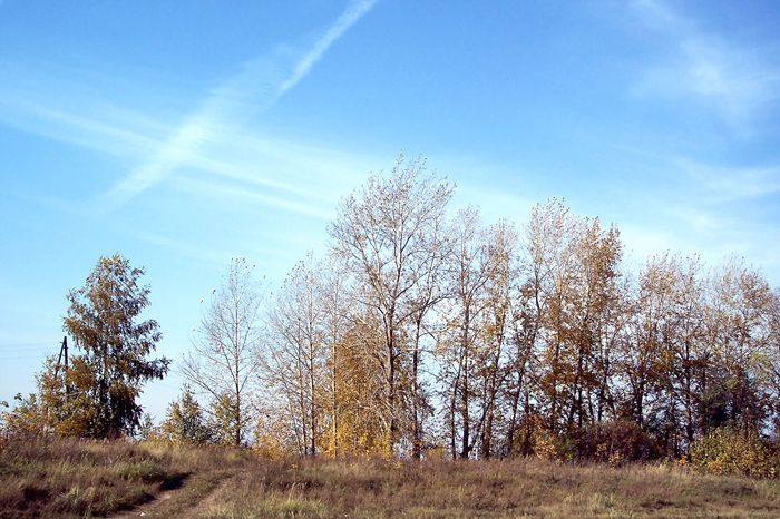 photo "Autumn sky" tags: landscape, autumn