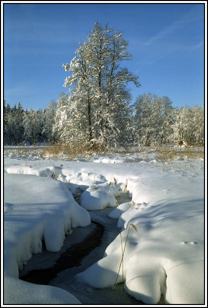 photo "Winter!" tags: landscape, winter