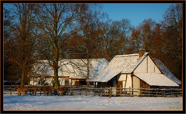 фото "old Belgian houses" метки: архитектура, пейзаж, зима